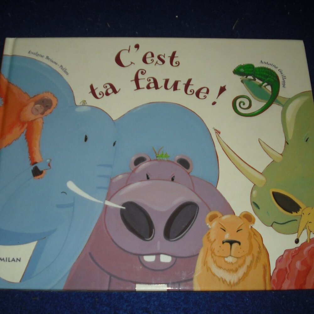 C'est ta faute! by Evelyne Brisou Pellen 2002 used French Hardcover